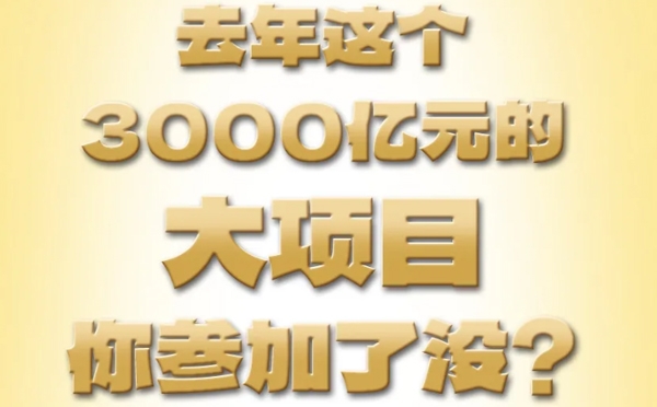 去年這個(gè)3000億元的大項(xiàng)目，你參加了沒(méi)？