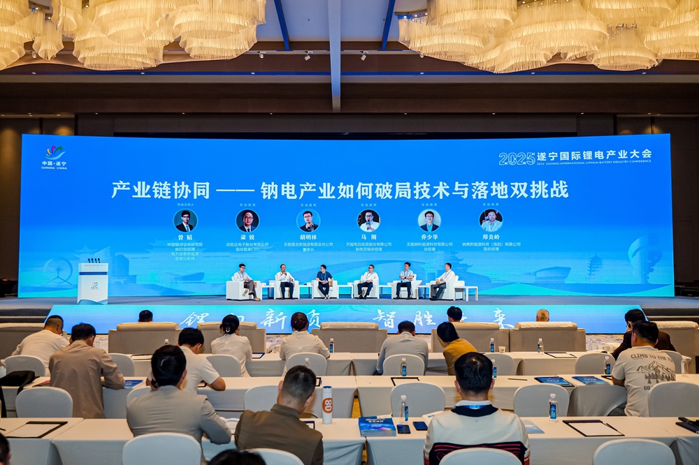 產業鏈協同，鈉電產業如何破局技術與落地雙挑戰？